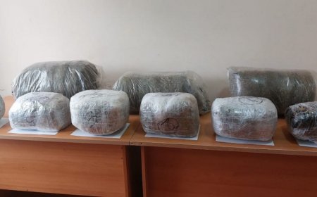 Azərbaycana 54 kiloqram narkotik vasitənin keçirilməsinin qarşısı alındı